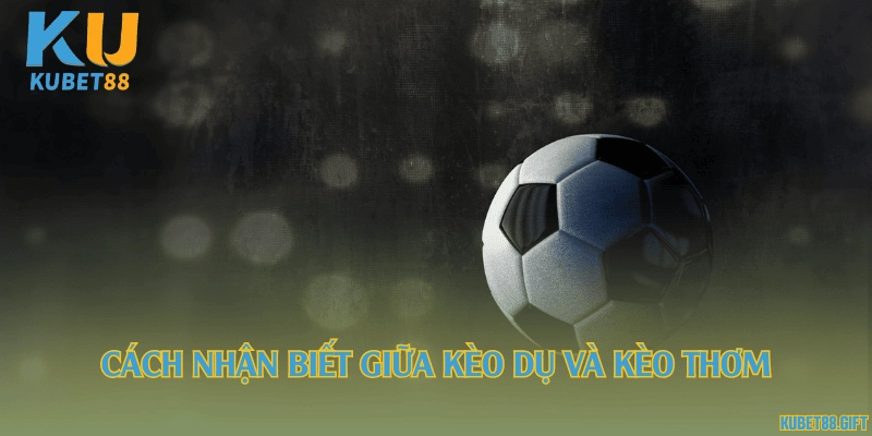 Cách nhận biết giữa kèo dụ và kèo thơm