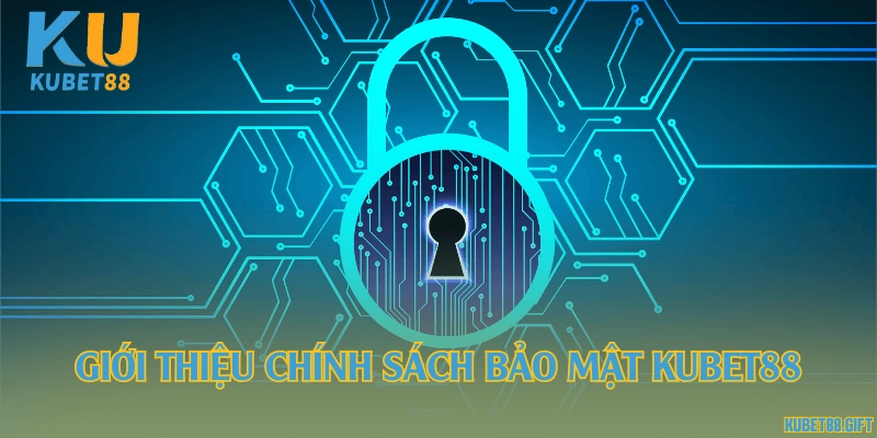 Giới thiệu chính sách bảo mật Kubet88