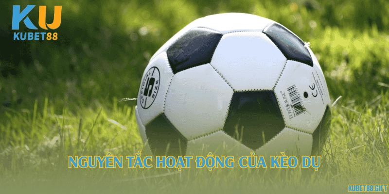 Nguyên tắc hoạt động của kèo dụ