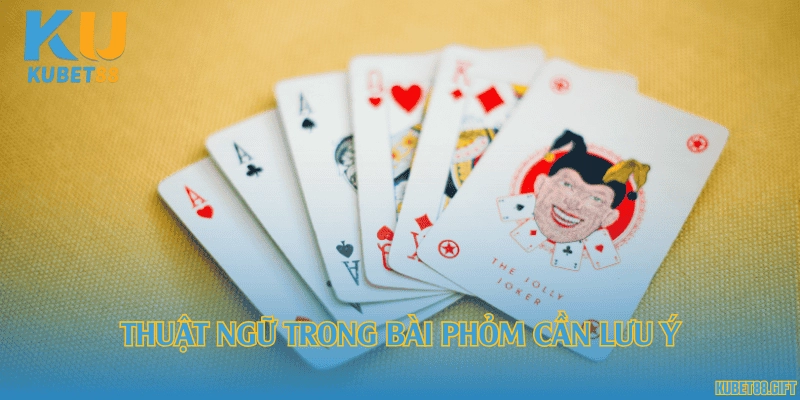 Thuật ngữ trong bài phỏm cần lưu ý