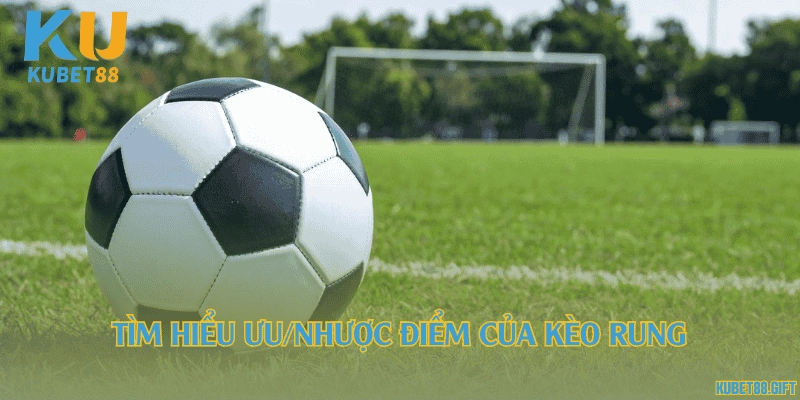 Tìm hiểu ưu/nhược điểm của kèo rung