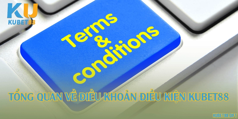 Tổng quan về điều khoản điều kiện Kubet88